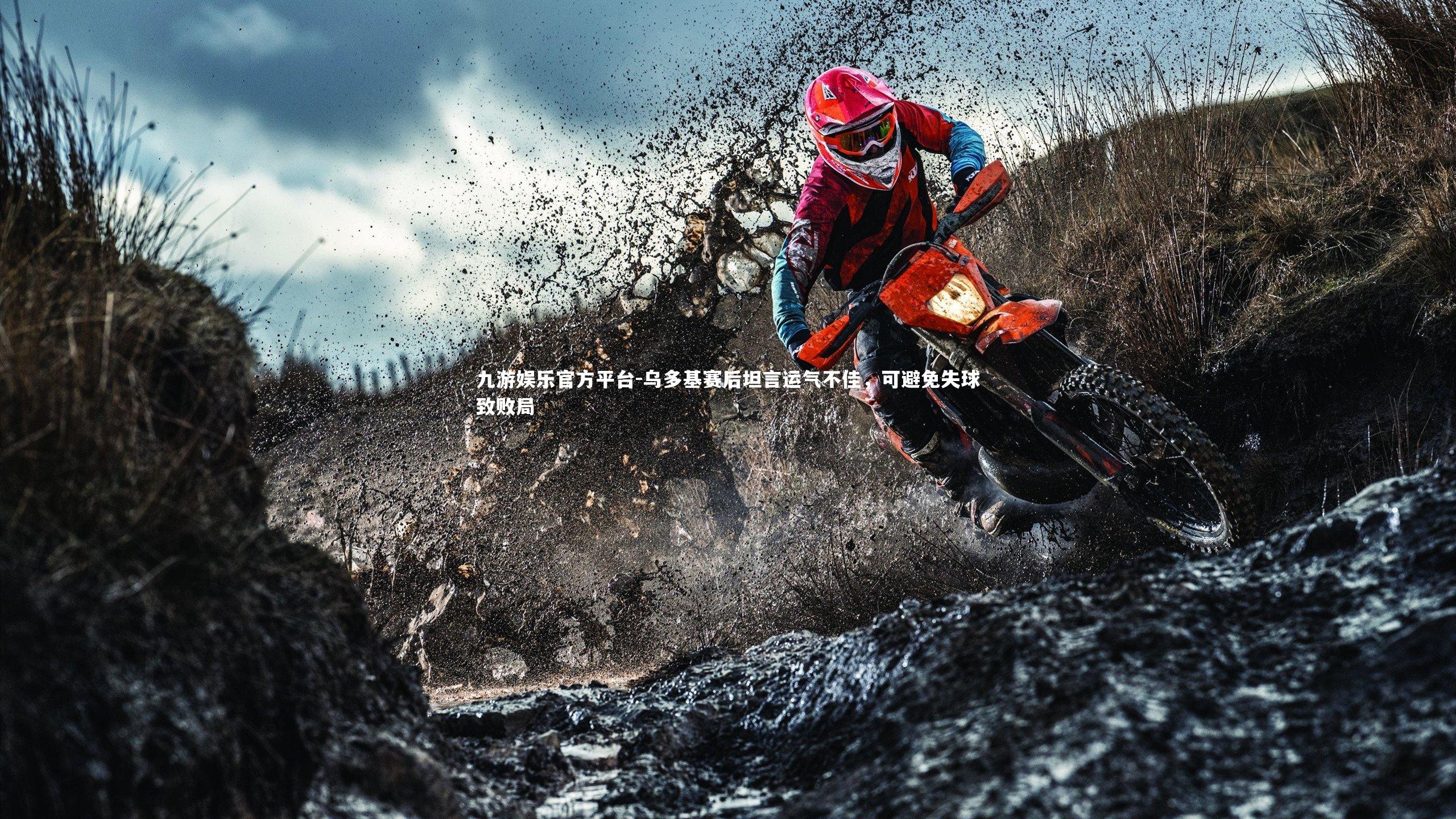 乌多基赛后坦言运气不佳，可避免失球致败局